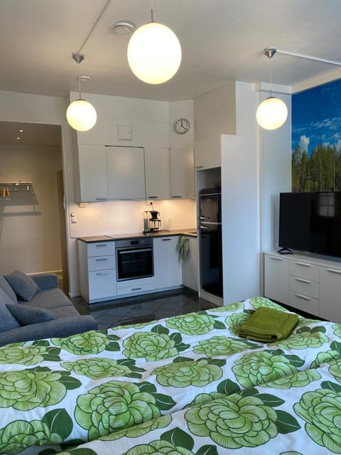 Maisa's studio saunallinen huoneisto Apartment in Finland