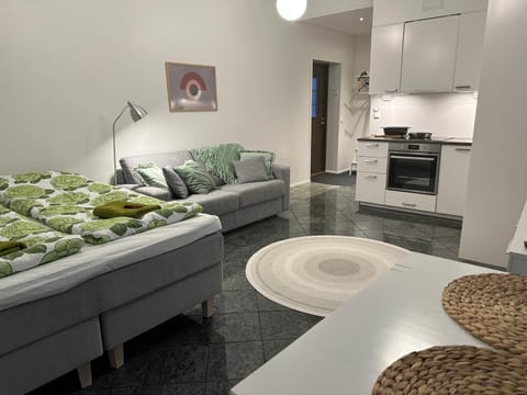 Maisa's studio saunallinen huoneisto Apartment in Finland