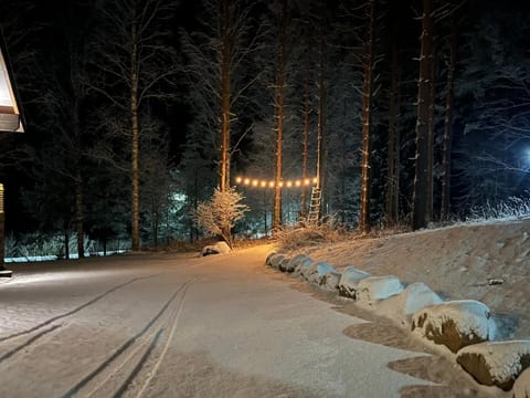 Kiiski Home Villa in Uusimaa