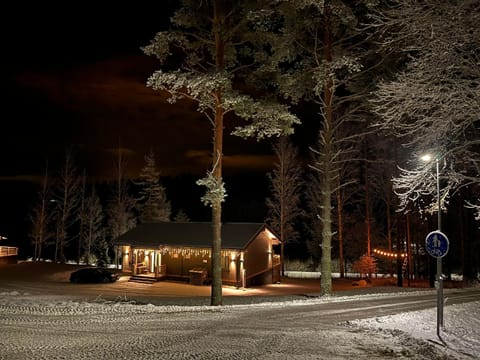 Kiiski Home Villa in Uusimaa