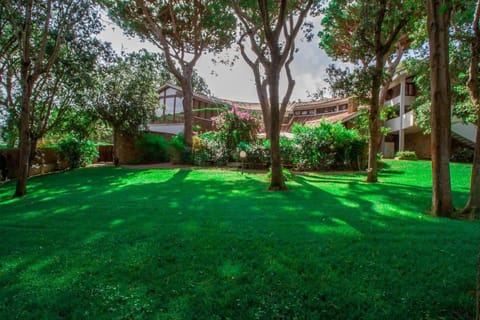 Day, Natural landscape, Garden, Garden view