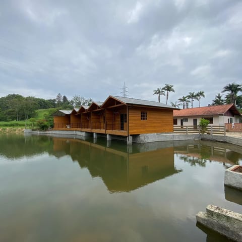 Natural landscape, Lake view
