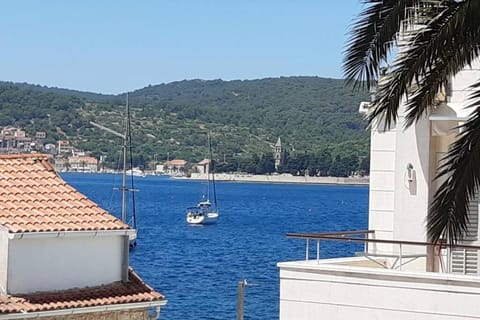 Casa Ruben, private stone house House in Vis