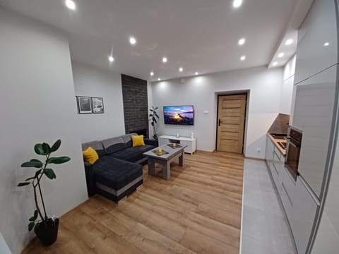TV and multimedia, Kitchen or kitchenette, Living room, Seating area