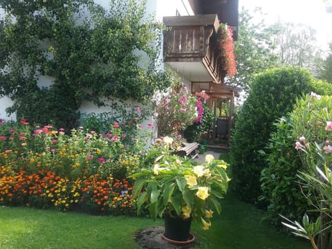 Ferienwohnung Weißenbacher Apartment in Grassau