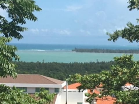 Sea view
