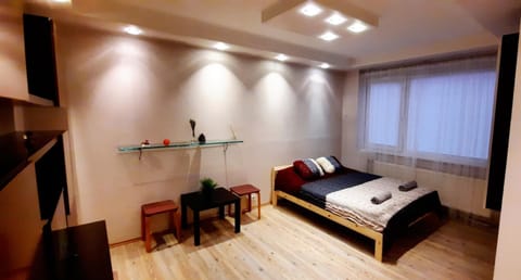 M&M Apartment VIII Self CHECK-IN Apartment in Lithuania