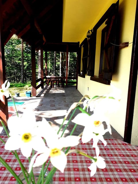 Kuća za odmor Đurđević House in Zlatibor District, Serbia