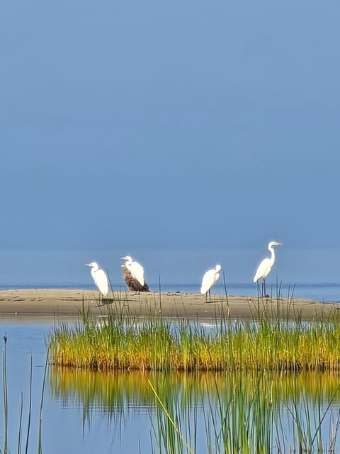 Natural landscape, Sea view