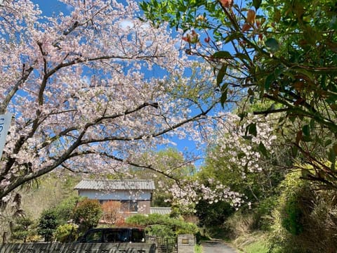 Property building, Neighbourhood, Natural landscape, Garden, Hiking