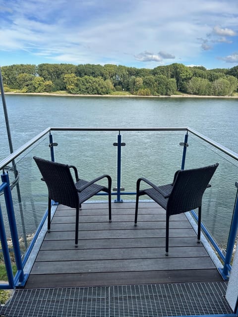 Natural landscape, View (from property/room), Balcony/Terrace, River view