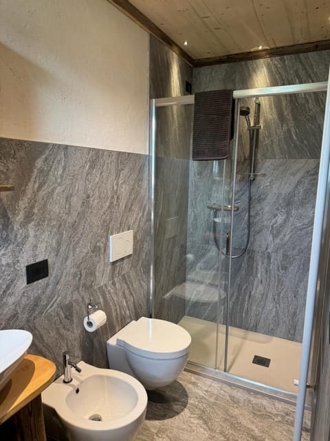 Shower, Toilet, Bathroom, bidet