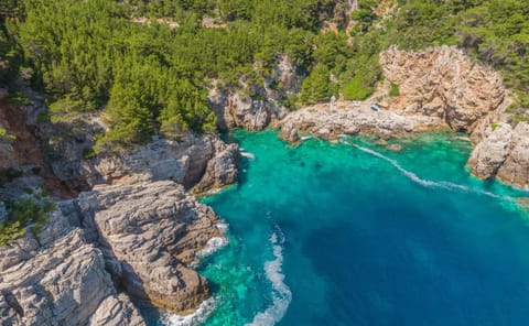 Apartmani Popović Apartment in Dubrovnik-Neretva County