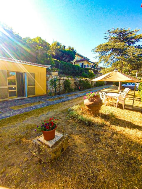 Property building, Garden