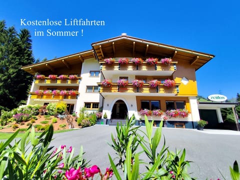 Property building, Day, Summer