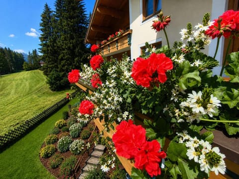 Property building, Day, Summer