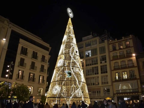 MALAGA PICASSO CENTRO HISTORICO PARKING GRATIS sr1 Apartment in Malaga