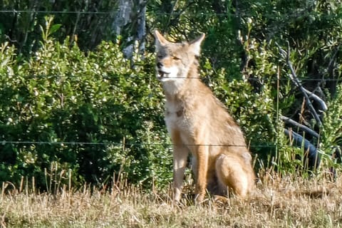 4412 Mackinaw Apartment in Wilson