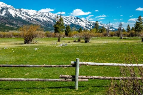 4412 Mackinaw Apartment in Wilson