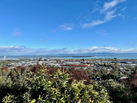 Garden, Garden, View (from property/room)