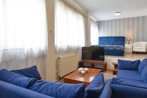 A Modern Bright Studio In The Center Of Kastoria Apartment in North Macedonia