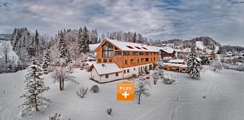 Property building, Day, Natural landscape, Winter, Mountain view