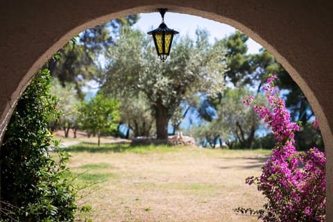 Garden view, Sea view