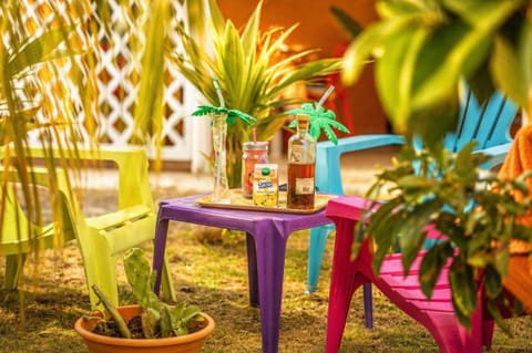 Spring, Day, Garden, Garden view