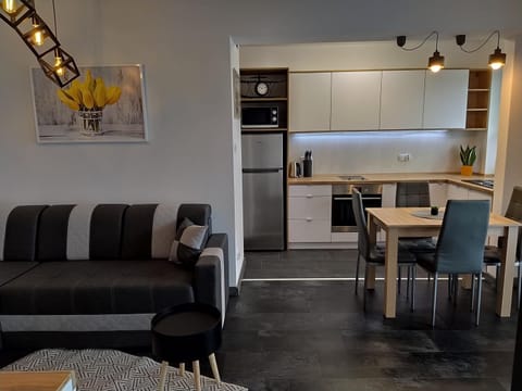 Kitchen or kitchenette, Living room, Seating area, Dining area