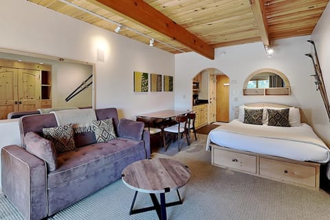 Timberline Condominiums Studio Unit 115 House in Snowmass Village