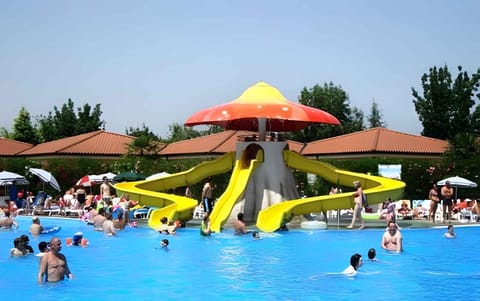 Summer, Aqua park, Swimming pool