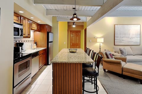 Timberline Condominiums 1 Bedroom Deluxe Unit B2G House in Snowmass Village