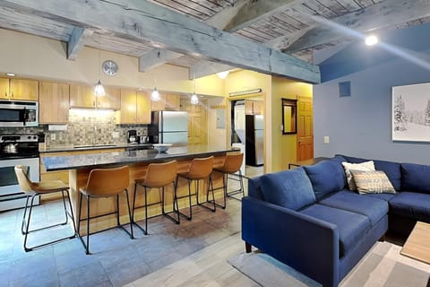 Timberline Condominiums 2 Bedroom Deluxe Unit C2E House in Snowmass Village