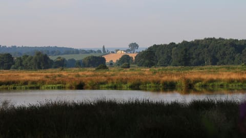 Landmark view
