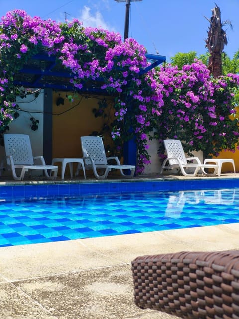Day, Garden, Pool view, Swimming pool