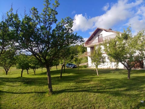 Property building, Spring, Off site, Day, Natural landscape, Garden, Garden view