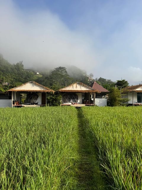 Property building, Spring, Natural landscape