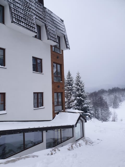 Property building, Winter