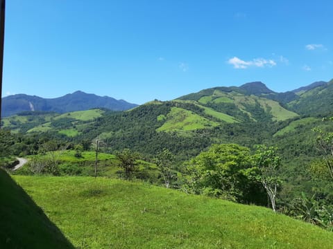 Mountain view