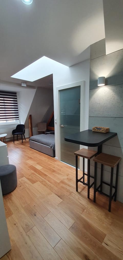 Bed, Kitchen or kitchenette, Living room, Photo of the whole room, Seating area, Dining area, Bedroom
