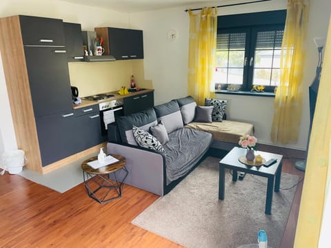 Kitchen or kitchenette, Living room, stove