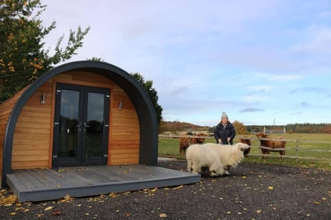 Glampods Glamping Pod - meet Highland Cows and Sheep Elgin House in Scotland