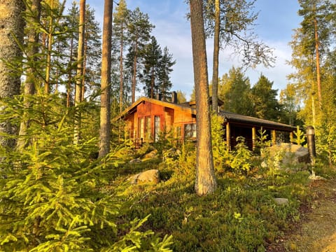 Saarilandia Villa in Finland