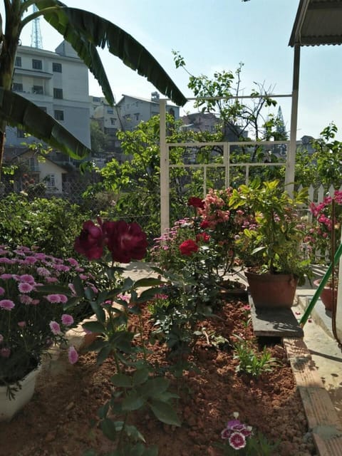 Property building, Garden
