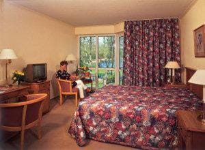 People, Photo of the whole room