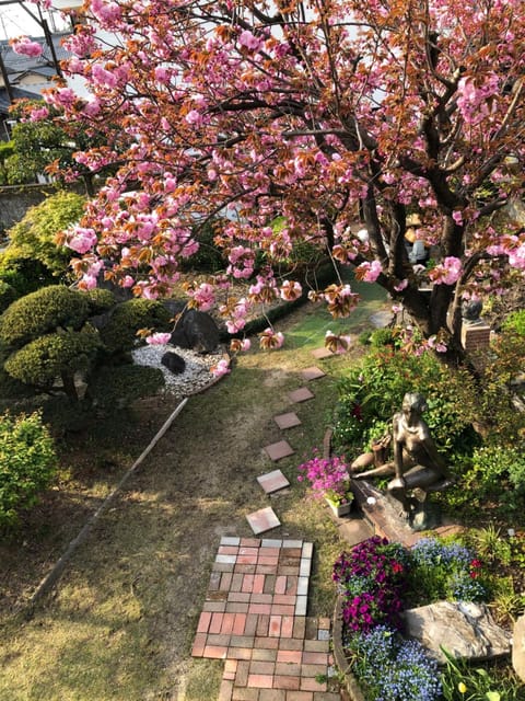 Spring, Day, Natural landscape, Garden, Balcony/Terrace, Balcony/Terrace, Garden view, Garden view