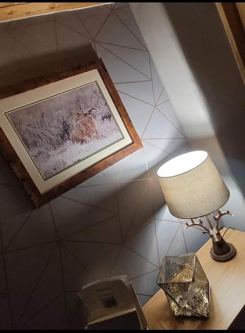 Cosy Minffordd Let - Llanuwchllyn near, Bala LL23 House in Wales