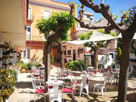 Garden, Lounge or bar, Lounge or bar