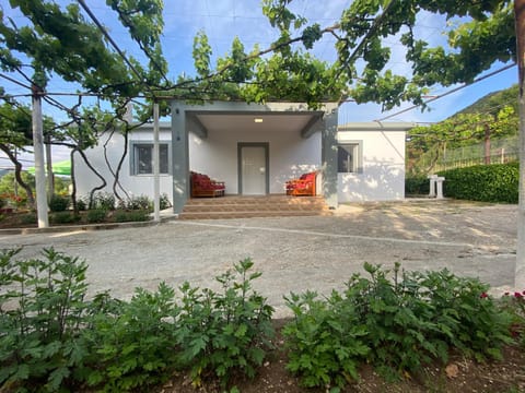 Property building, Day, Garden, Garden view