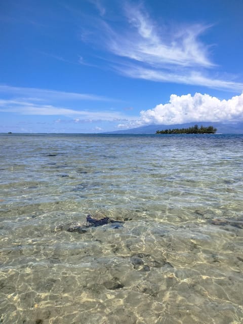Beach, Sea view